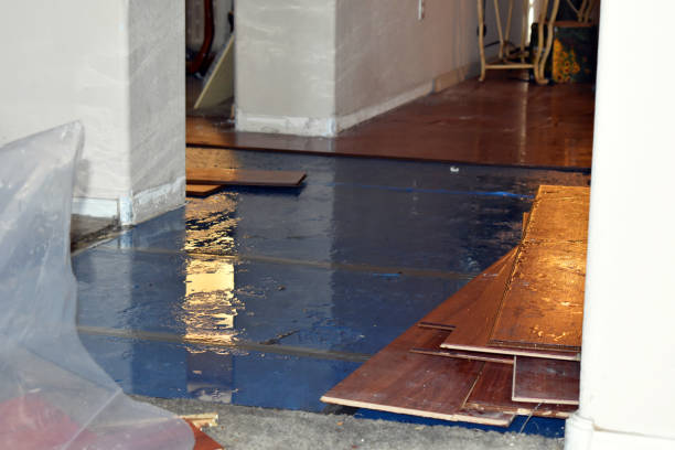 Professional Water Damage technician working in Nada, TX