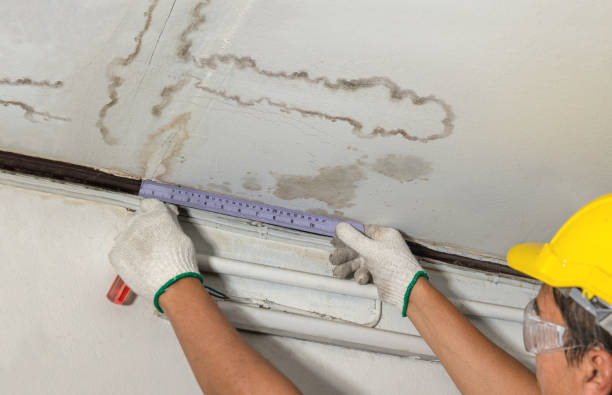 Reliable Water Damage contractor in Nada, TX by Water Damage Irwin